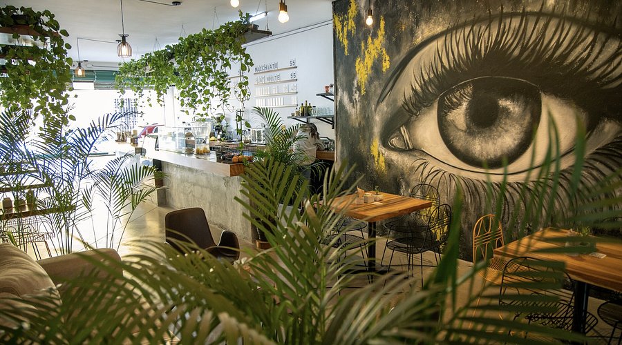 Beautiful murals and artistic interior of Café Sideral in San Luis Potosí