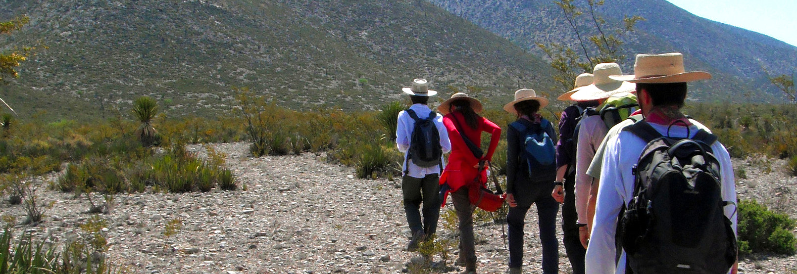Corazón de Xoconostle: Your Gateway to Adventure in San Luis Potosí