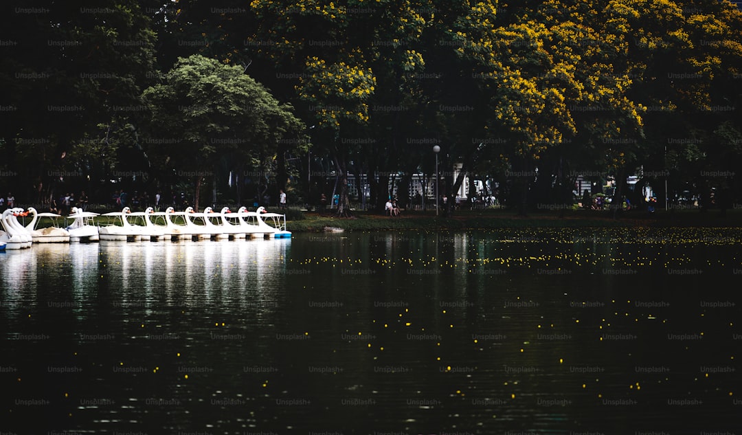 Parque Tangamanga II