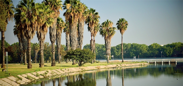 Parque Tangamanga I