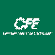 Public Electricity
